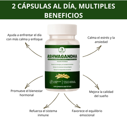 Ashwagandha 12:1 Alta Potencia + Black Pepper | Equilibrio, Calma y Vitalidad