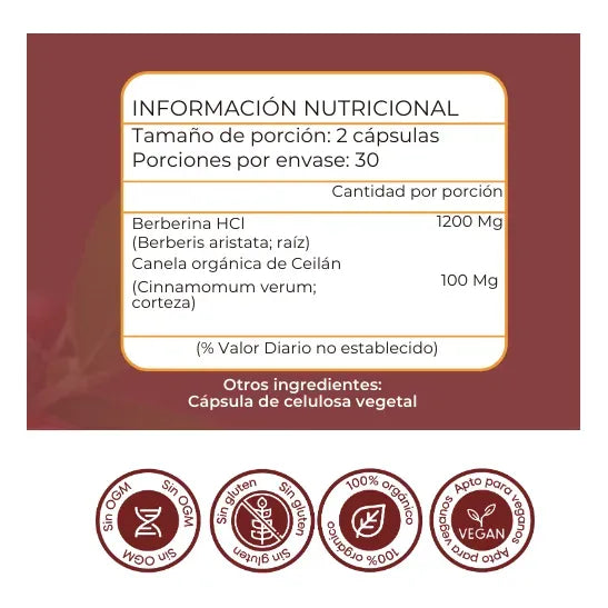 Berberina 1200 mg + Canela de Ceilán | Equilibrio Metabólico Premium