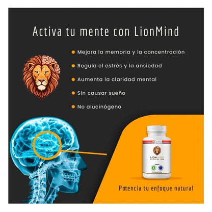 Melena de León – Suplemento Natural para Memoria, Enfoque y Energía Mental