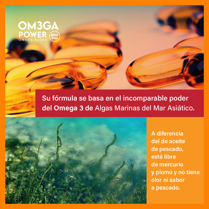 OM3GA Power – Omega 3 de Algas DHA 800 | 60 Cápsulas | Salud Cerebral y Cardiovascular